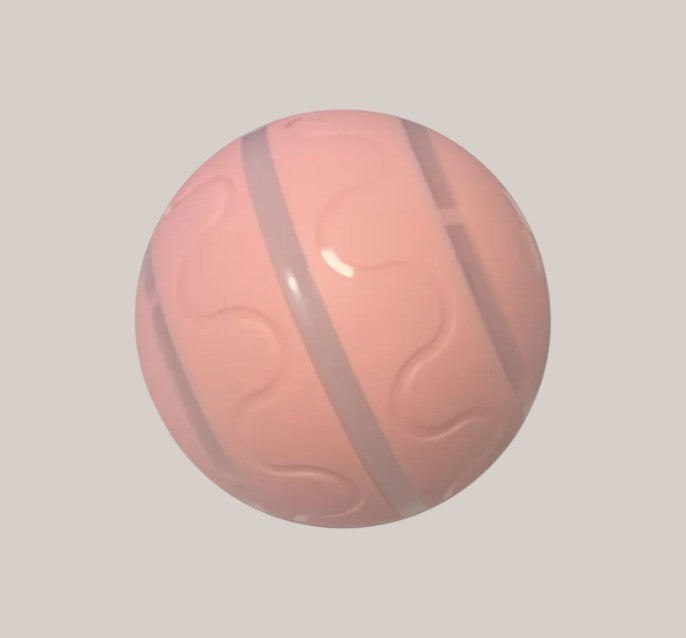 Smart Play Cat Ball Toy