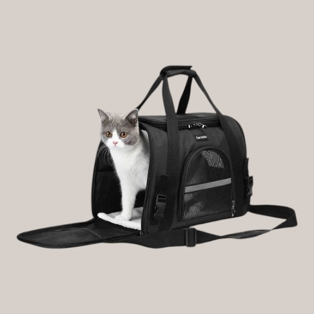 Foldable Portable Soft Pet Carrier for Cats and Dogs