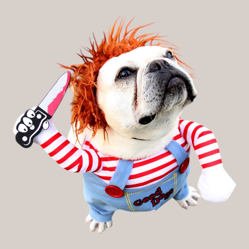 Halloween Pet Costume Cosplay!