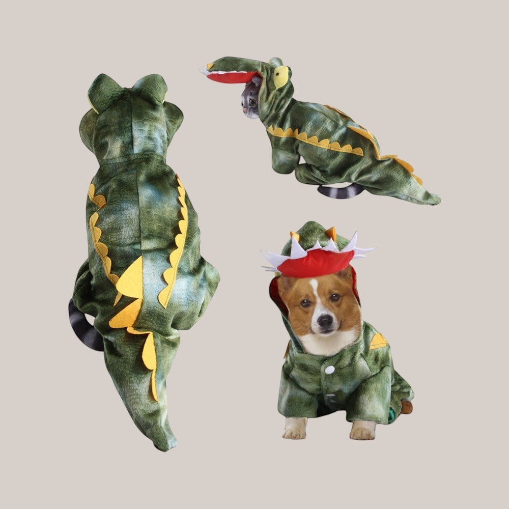 Cartoon Style Clothes for Funny Cats and Dogs