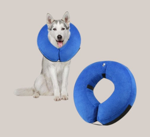 Inflatable Pet Collars for Comfort and Protection