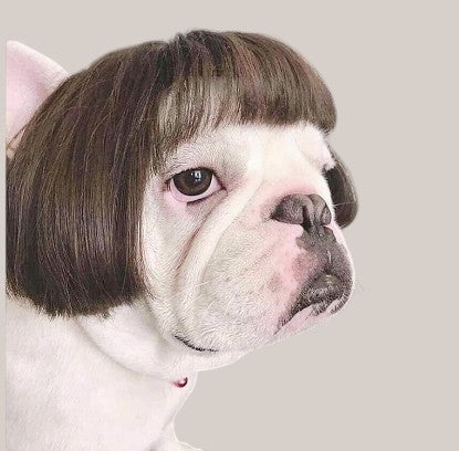 Toshomono Wig Cosplay Tool for Costumes