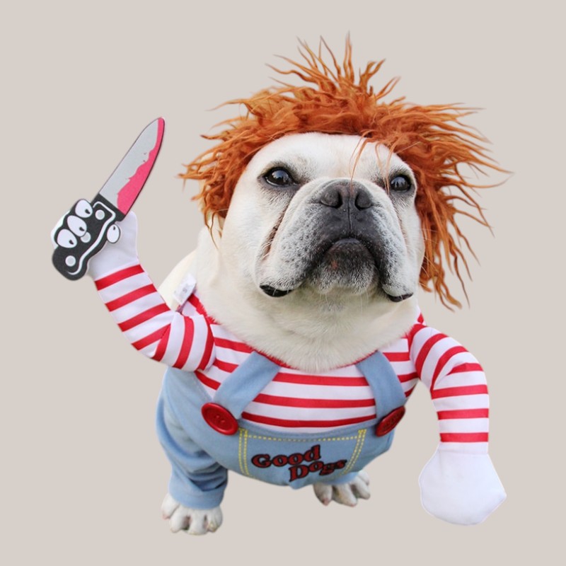 Halloween Pet Costume Cosplay!