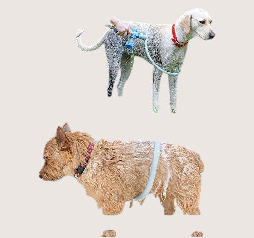 Dog Shower Bathing Ring