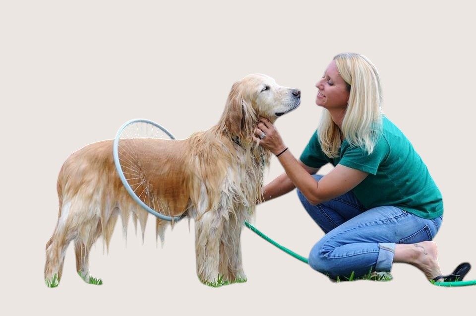 Dog Shower Bathing Ring with Circular Water Gun