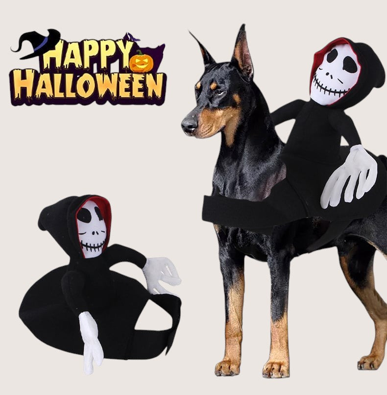 Funny Halloween Pet Costume with Spider Pumpkin Vest