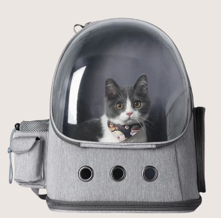 PawPort Pet Carrier