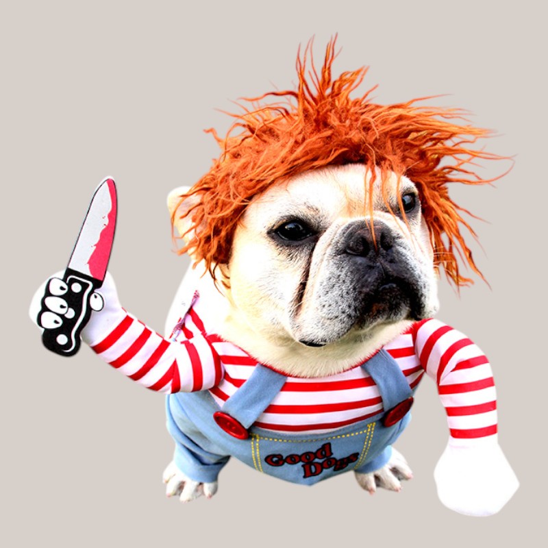 Halloween Pet Costume Cosplay!