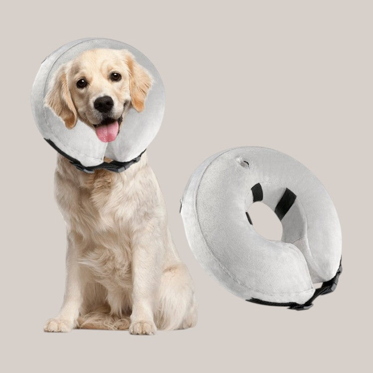 Inflatable Pet Collars for Comfort and Protection