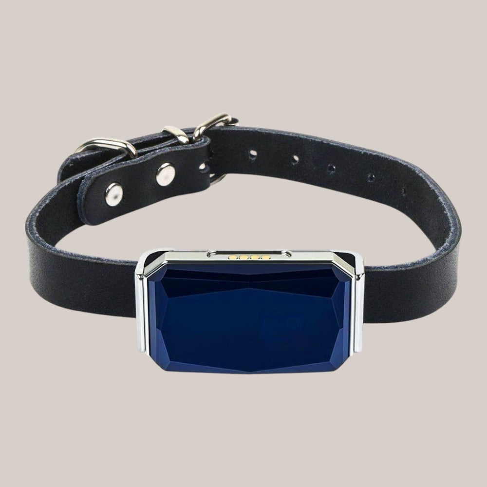 GPS Pet Tracker Collar for Lost Pet Location Tracking