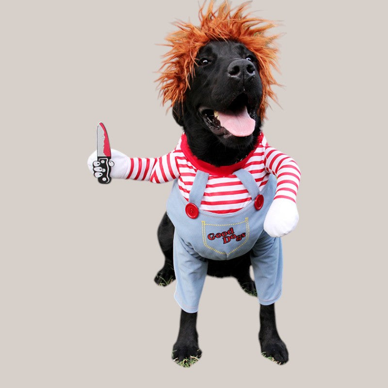 Halloween Pet Costume Cosplay!