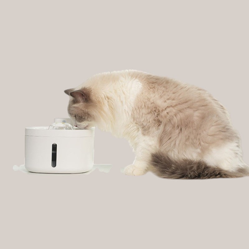 Smart Pet Wireless Water Dispenser with Stainless Steel Bowl